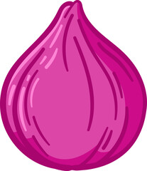 Onion hand drawn vector Illustration