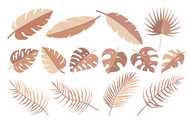 Set of different tropical palm leaves, jungle Monstera, Calathea leaves. Exotic boho collection of earth tone colors plants. Hand drawn botanical vector illustration isolated on white background