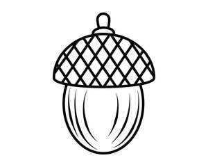 Acorn. Cartoon illustration. Vector. White background. Coloring book for children. Contour drawing used for print and web design.