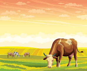 Fototapeta na wymiar Herd of cows in green field on a sunset sky. Vector rural summer landscape.