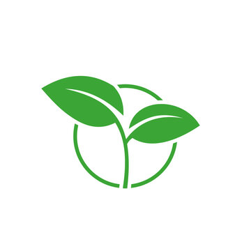 green plant icon in circle line
