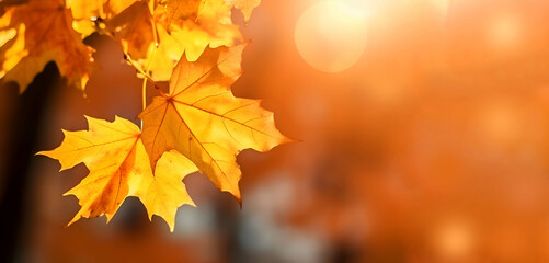 Naklejka na ściany i meble Autumn background with maple leaves, copy space, Generative AI