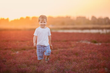 Naklejka na ściany i meble Happy little boy playing outdoors at sunset