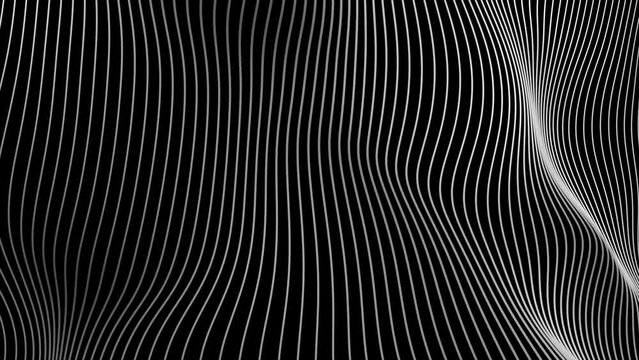 3D White color slow motion waving strip lines on black background 