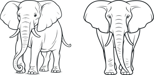Elephant front and side views vector illustration on white background. Big black and white elephants biggest earth mammal cartoon animal design