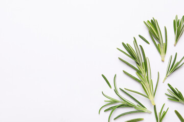 Sprigs of fresh rosemary on white background, flat lay. Space for text