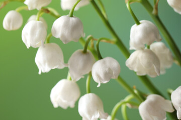Beautiful lily of the valley flowers on blurred green background, closeup