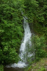 Obraz premium Waterfall