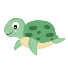 Sea turtle