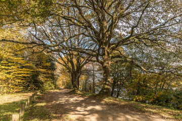 Shady path in autumn near of Erdre river (Nantes, Loire Atlantique)