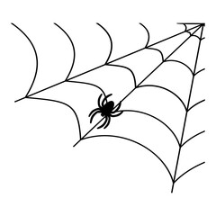 Spider web silhouette