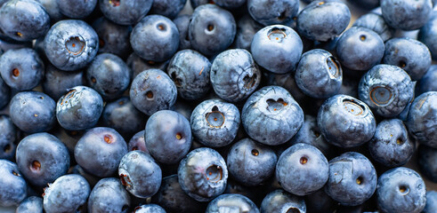 Macro texture of blueberry berries close up. Border design. Summer, vitamin, vegan, vegetarian concept. Healthy food. Fresh blueberries background with copy space for your text