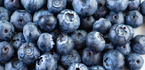 Macro texture of blueberry berries close up. Border design. Summer, vitamin, vegan, vegetarian concept. Healthy food. Fresh blueberries background with copy space for your text