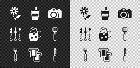 Set Flower, Paper glass with water, Photo camera, Fork, Bread toast, Knife, Grilled shish kebab on skewer and Jug icon. Vector