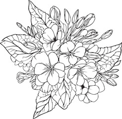 Cute flower coloring pages, primrose drawing, yellow primula flower
drawing, Hand drawn botanical spring elements bouquet of primula line art coloring page, easy flower drawing. primrose flower art,