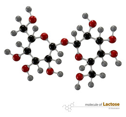3d Illustration of Lactose Molecule isolated white background