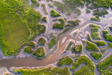 Low Tide Landscape on the Marsh