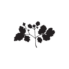 Logo element, clipart, nature, outline, tattoo, handdrawn, drawing