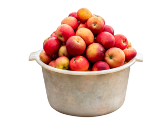 Fruit harvest from red apples in a plastic bowl. Harvest apples in the garden. Red Apple. Farm gardening. Agricultural business. Plastic utensils. Healthy food. Isolated in png format.