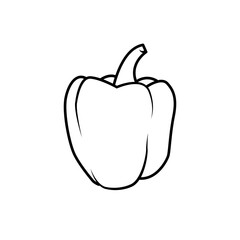 Bell pepper sketch icon. Paprika isolated on white background. Vector illustration of bell pepper in doodle style and black and white outline. Vegetable Icon