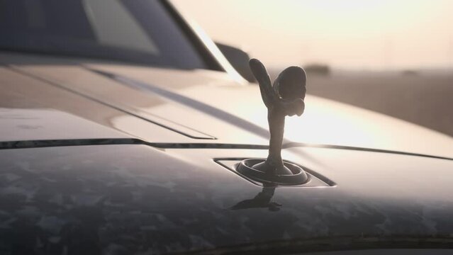 The symbol of an expensive luxury car on its hood against the background of the evening sky in the desert