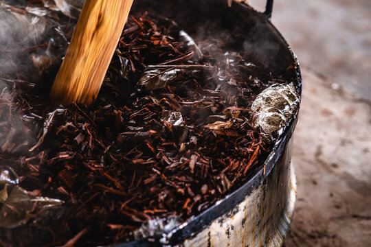 Feitio de Ayahuasca, prepara&ccedil;&atilde;o com o Jagube