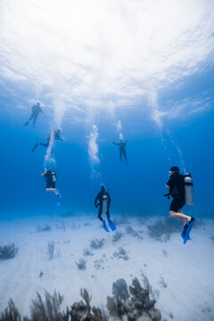 Group of scuba divers swimming underwater