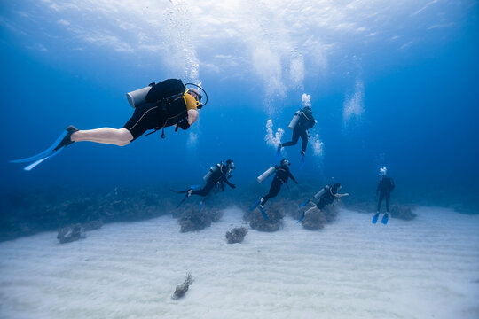 Group Of Scuba Divers Swimming Underwater