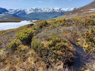 It is enough to walk a kilometer up and the resort Flam is replaced by tundra landscapes