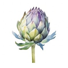 Obraz premium Fresh Organic Artichoke Vegetable Background, Square Watercolor Illustration. Healthy Vegetarian Diet. Ai Generated Soft Colored Watercolor Illustration with Delicious Juicy Artichoke Vegetable.