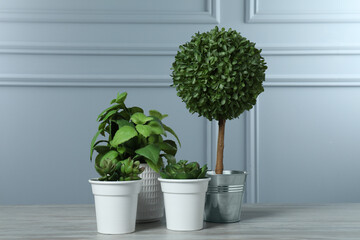 Many different artificial plants in flower pots on white wooden table near grey wall