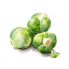 Fresh Organic Brussels Sprouts Vegetable Background, Square Watercolor Illustration. Healthy Vegetarian Diet. Ai Generated Soft Colored Watercolor Illustration with Juicy Brussels Sprouts Vegetable.