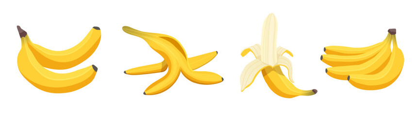 Set of peeled banana, whole banana and bunch of bananas. Tropical fruits, vegetarian nutrition menu. Vector flat cartoon illustration icons collection isolated on white background 