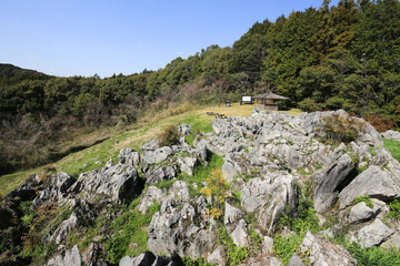 高知県佐川町　ナウマンカルスト
