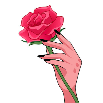 Female hand holding a beautiful rose, romantic flower gift for a date, birthday, Valentine's Day or Women's day. Vector illustration in flat cartoon style, isolated on white background 