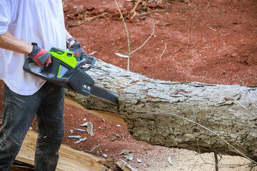Woodcutter in forest clearing using chainsaw sawing in motion, sawdust fly to sides
