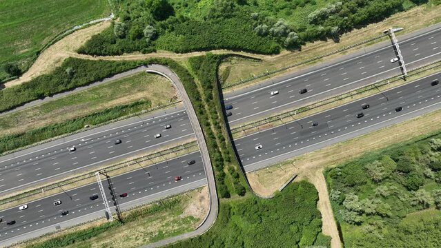 Ecoduct, wilflide passing and transportation highway.