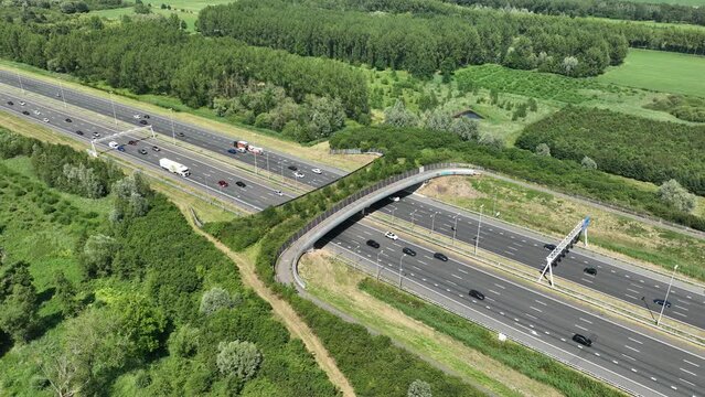 Ecoduct, wilflide passing and transportation highway.