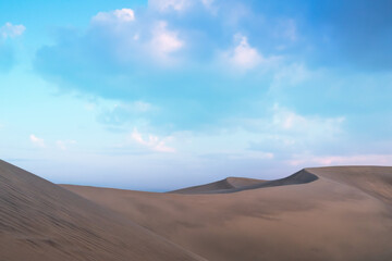 Fototapeta na wymiar Beautiful landscape of the dunes of Maspalomas. Canary Islands