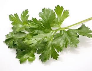 Parsley bunch tied with ribbon isolated on white background. Created with Generative AI technology.