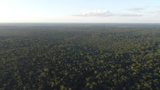 This footage was taken during a 5 Day hike in the ancient mayan jungle on the border between Mexico and Guatemala. A lot of biodiversity can be seen such as Howler- and Spidermonkeys.