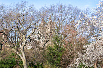 New York, USA - April 13, 2023: View of Manhattan's Central Park in spring