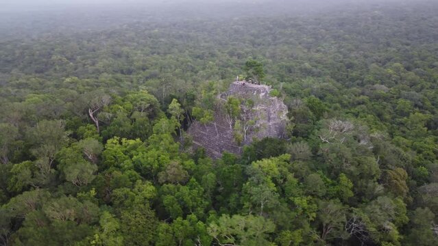 This footage was taken during a 5 Day hike in the ancient mayan jungle on the border between Mexico and Guatemala. A lot of biodiversity can be seen such as Howler- and Spidermonkeys.