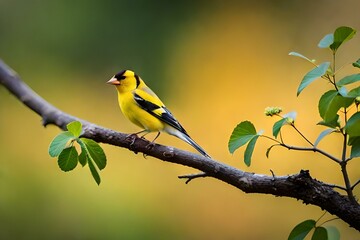 yellow bird on a branch generated by Ai