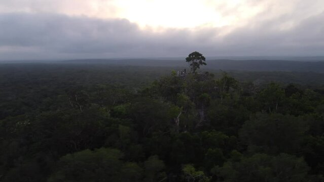 This footage was taken during a 5 Day hike in the ancient mayan jungle on the border between Mexico and Guatemala. A lot of biodiversity can be seen such as Howler- and Spidermonkeys.