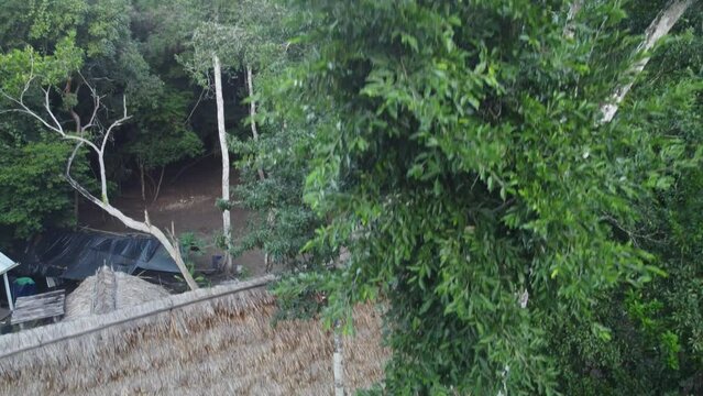 This footage was taken during a 5 Day hike in the ancient mayan jungle on the border between Mexico and Guatemala. A lot of biodiversity can be seen such as Howler- and Spidermonkeys.