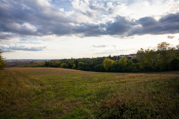 Summer Landscape with grass Field and sky
