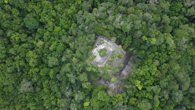 This footage was taken during a 5 Day hike in the ancient mayan jungle on the border between Mexico and Guatemala. A lot of biodiversity can be seen such as Howler- and Spidermonkeys.