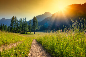 Sunset over path into green pasture with view on mountains