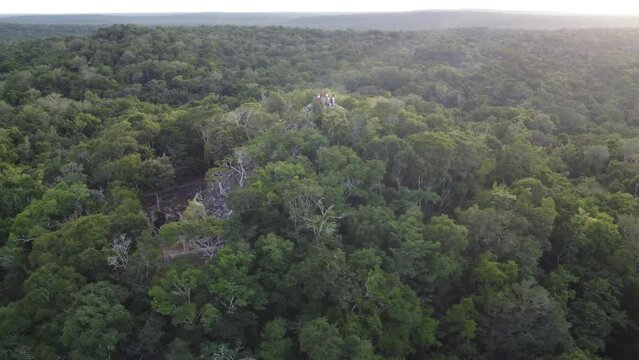 This footage was taken during a 5 Day hike in the ancient mayan jungle on the border between Mexico and Guatemala. A lot of biodiversity can be seen such as Howler- and Spidermonkeys.